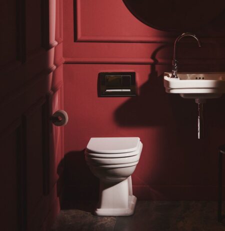 Atelier Calla Back To Wall WC Bowl